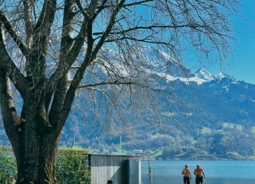 pexels-paloma-lian-420899116-33666814