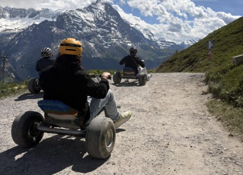 Mountain Cart