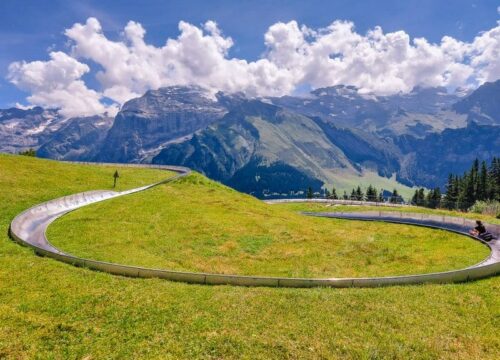Mountain Coaster